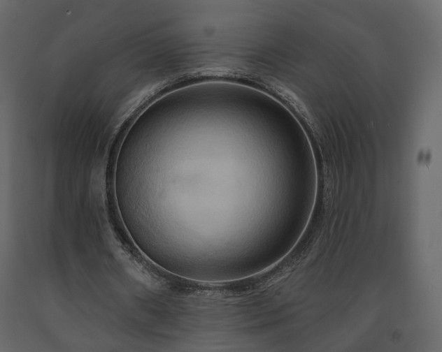 X0000091640482200708231202