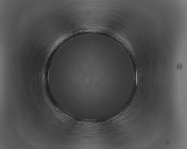 X0000091640483200708231202