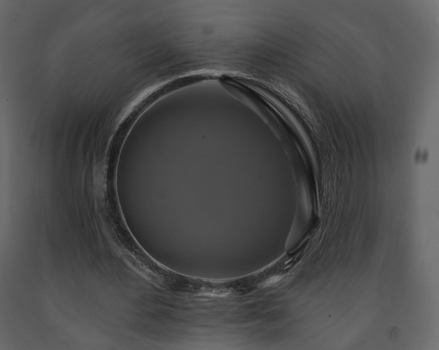 X0000091640484200708231202