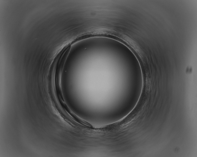 X0000091640485200708231202