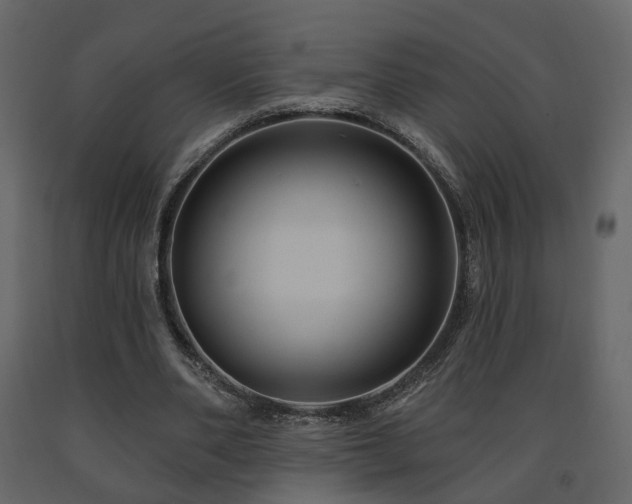 X0000091640486200708231202