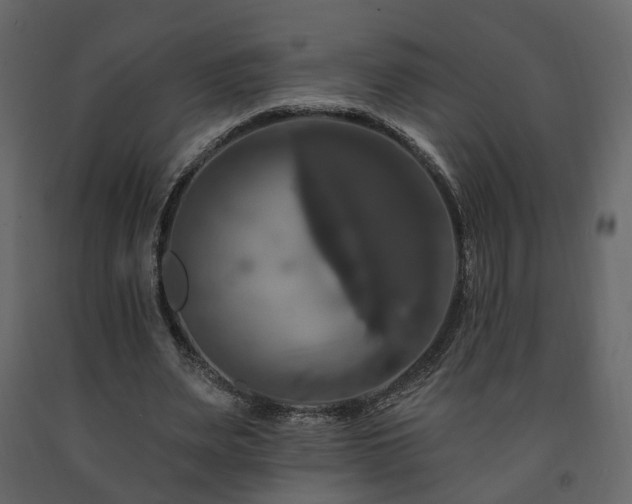 X0000091640487200708231202