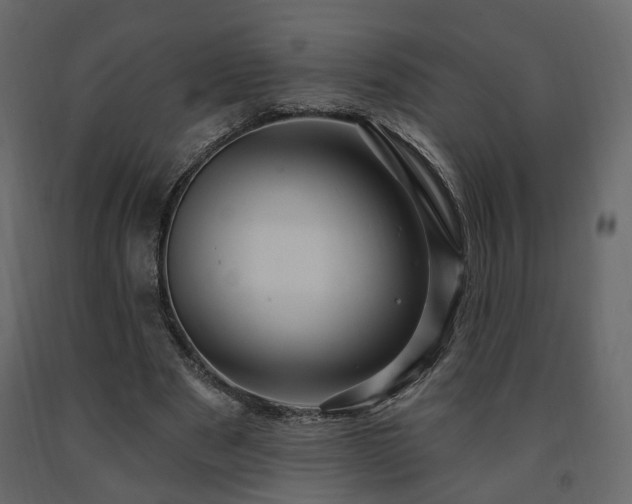 X0000091640489200708231202