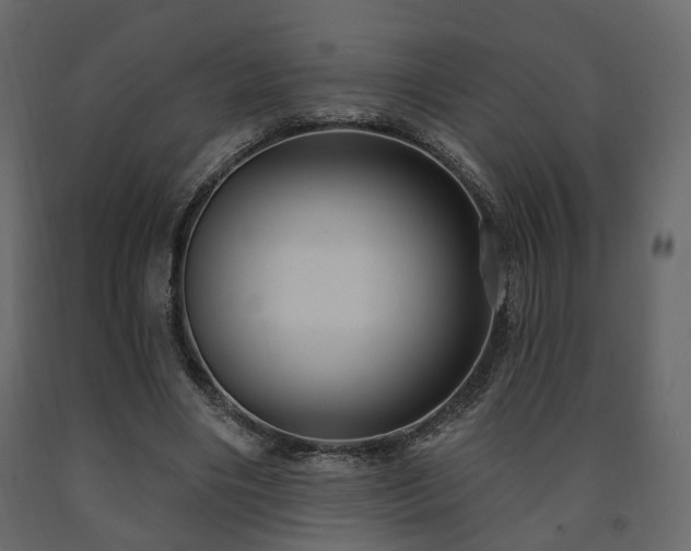 X0000091640490200708231201