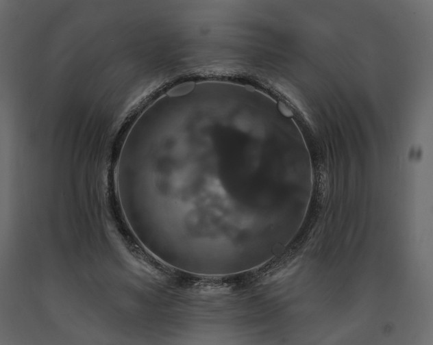 X0000091640491200708231201