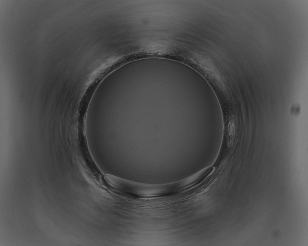 X0000091640492200708231201