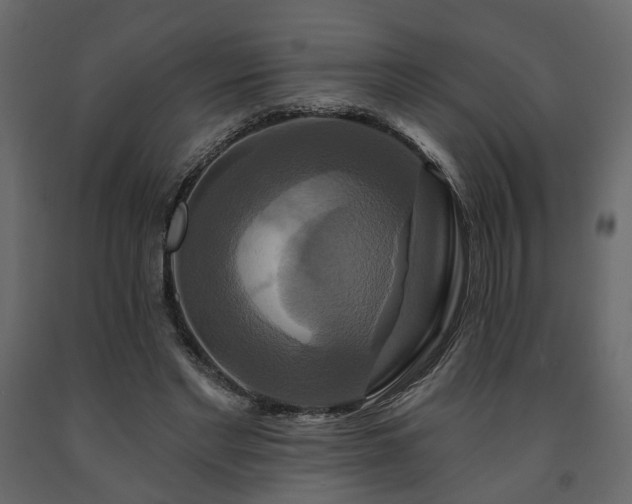 X0000091640493200708231201