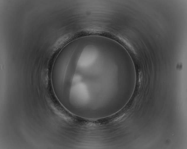 X0000091640494200708231201