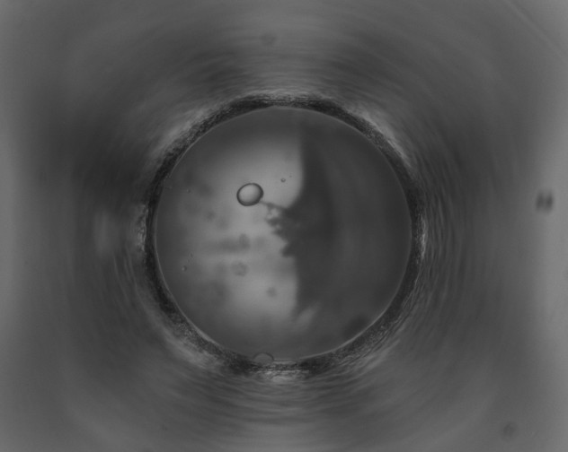 X0000091640495200708231201