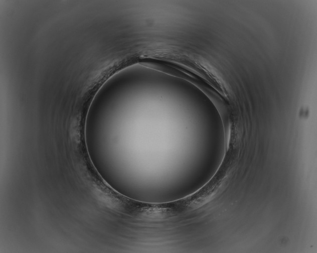 X0000091640497200708231201