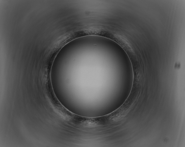 X0000091640498200708231201