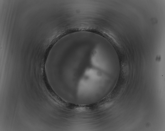 X0000091640499200708231201