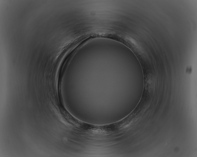 X0000091640500200708231201