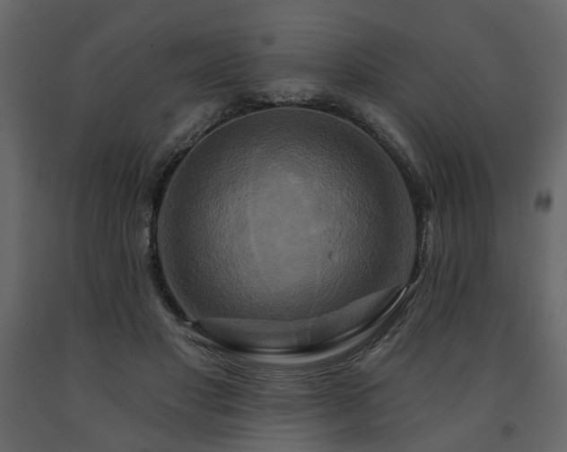 X0000091640501200708231201