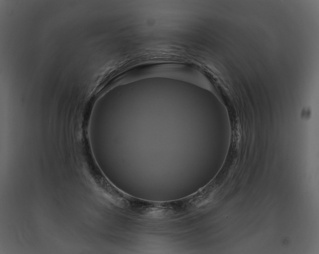 X0000091640504200708231201