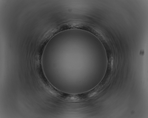 X0000091640506200708231201