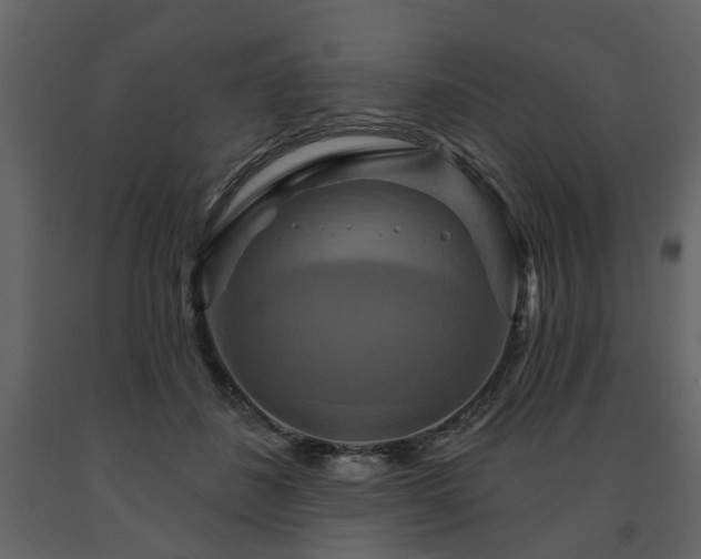 X0000091640508200708231201