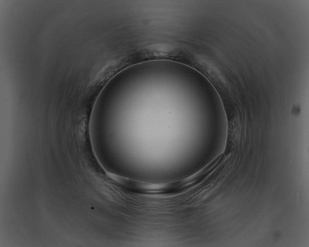 X0000091640509200708231201