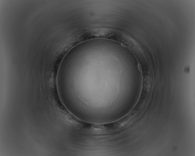 X0000091640510200708231201