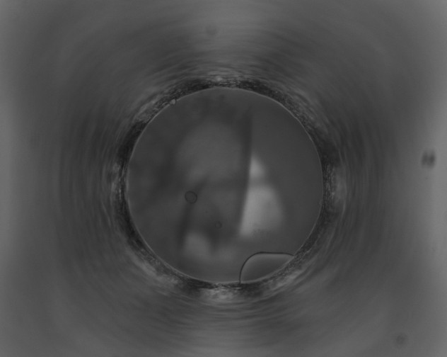X0000091640511200708231201