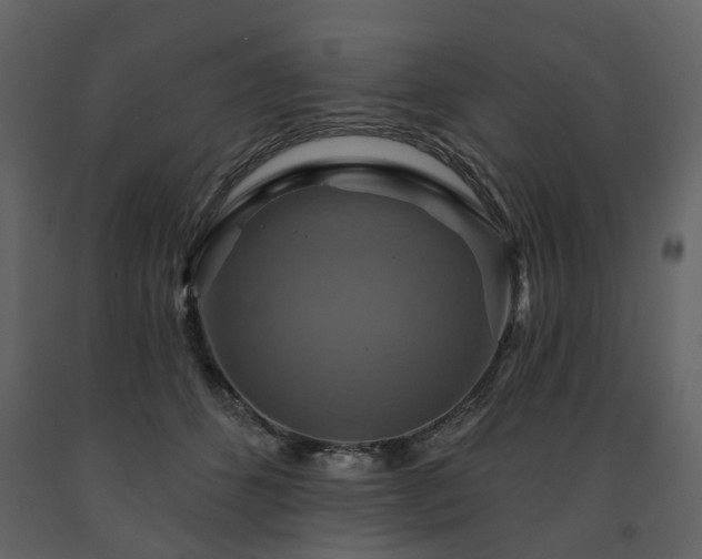 X0000091640512200708231201