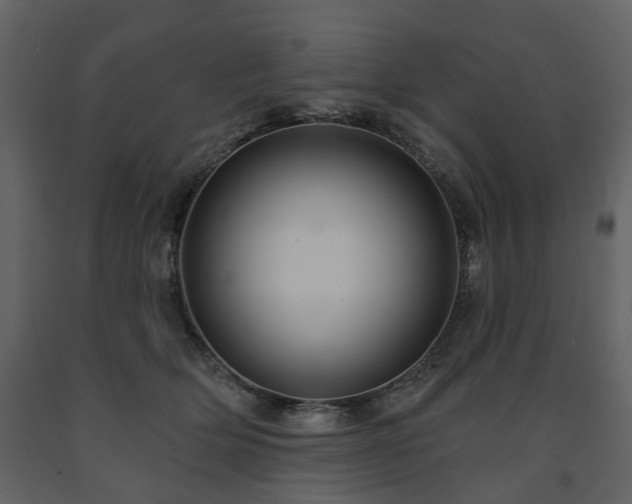 X0000091640514200708231201