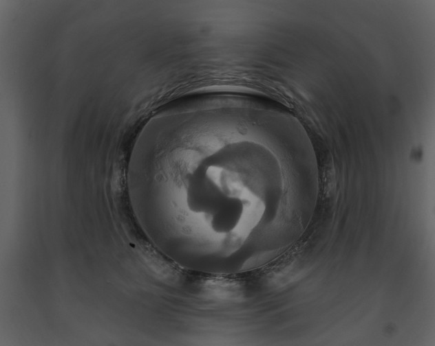 X0000091640515200708231201
