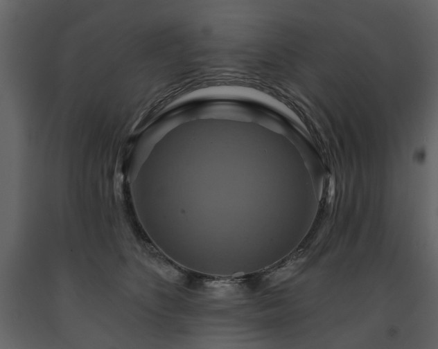 X0000091640516200708231201