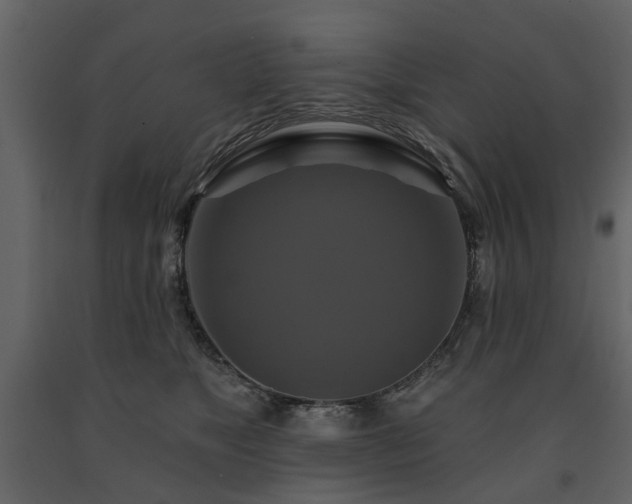 X0000091640517200708231201