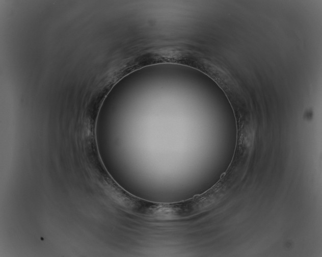 X0000091640518200708231201
