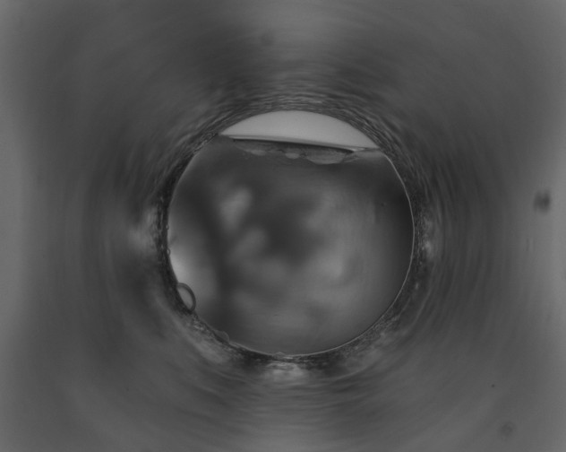 X0000091640519200708231201