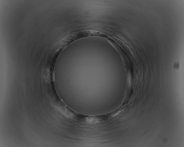 X0000091640520200708231201
