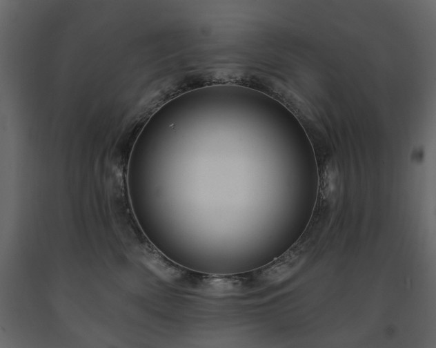 X0000091640522200708231201