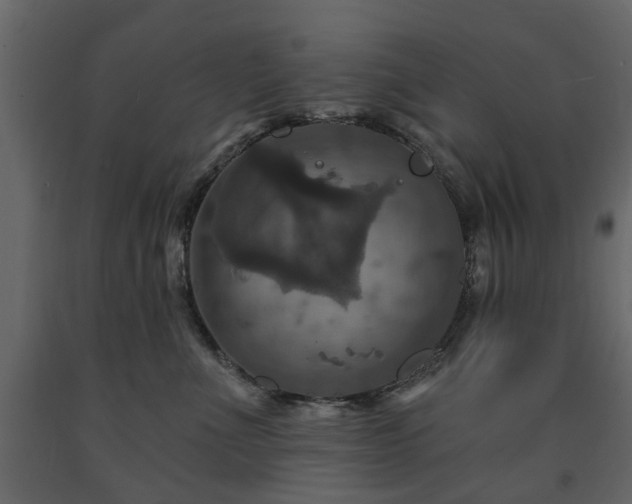 X0000091640523200708231201