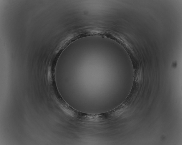 X0000091640524200708231201