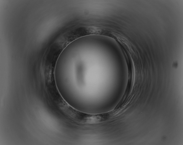 X0000091640525200708231201