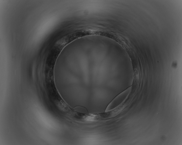 X0000091640527200708231201
