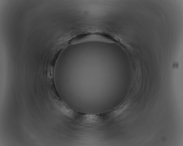 X0000091640528200708231201