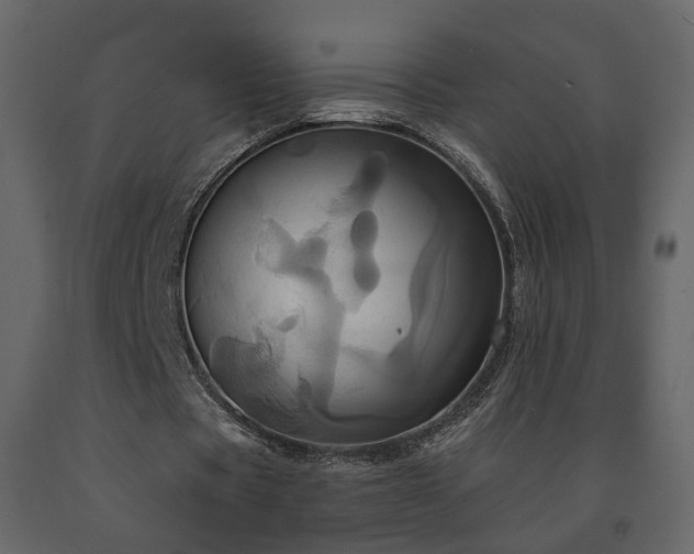X0000091640529200708231200