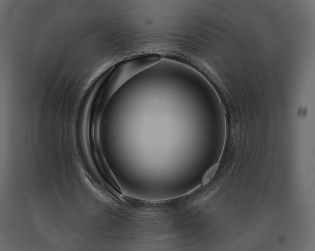 X0000091640530200708231200