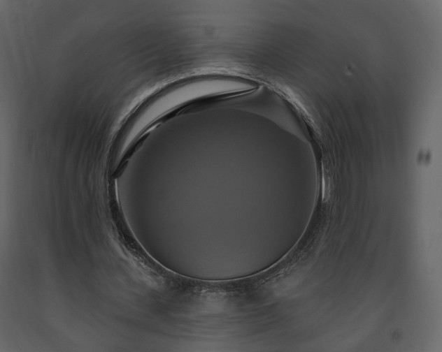 X0000091640531200708231200