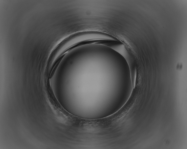 X0000091640532200708231200