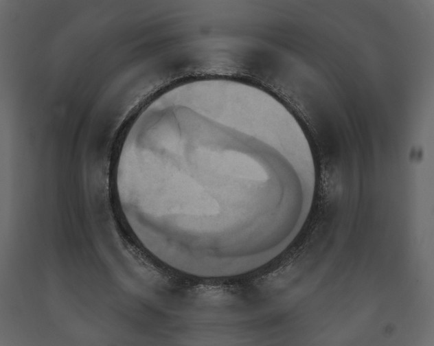 X0000091640534200708231200