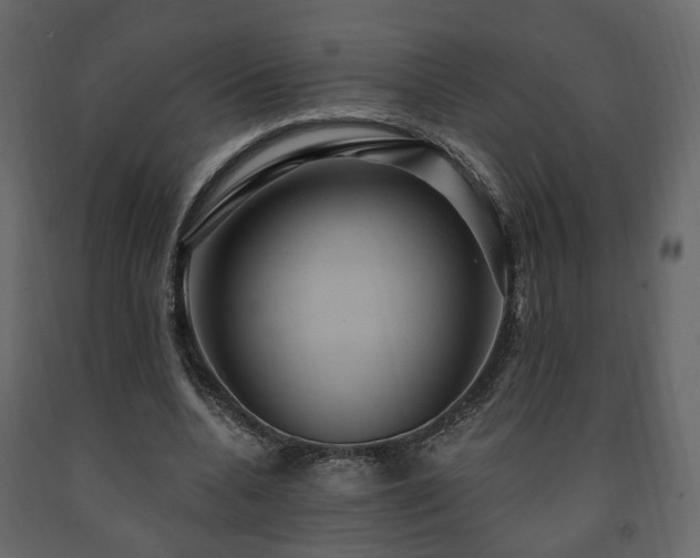 X0000091640536200708231200