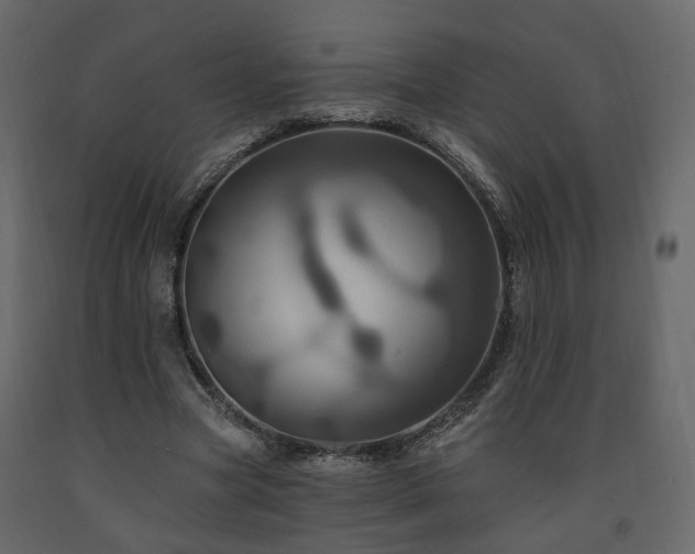X0000091640537200708231200
