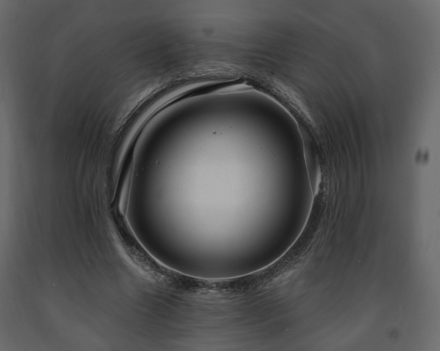 X0000091640538200708231200