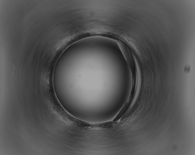 X0000091640539200708231200