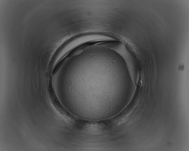 X0000091640540200708231200