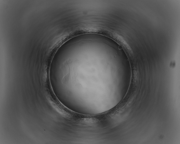 X0000091640541200708231200
