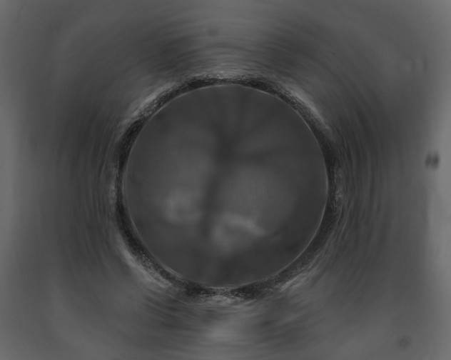 X0000091640542200708231200